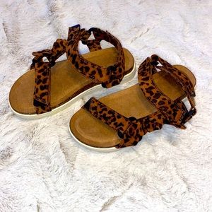 Leopard Sandel’s